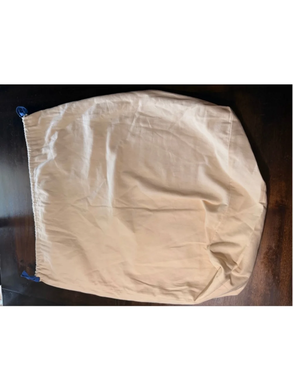 Louis Vuitton XL Dustbag